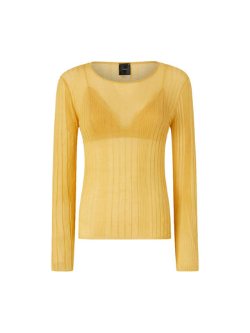 Pinko Maglia semitrasparente Alchemilla